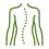 Icon-Wirbelsäule